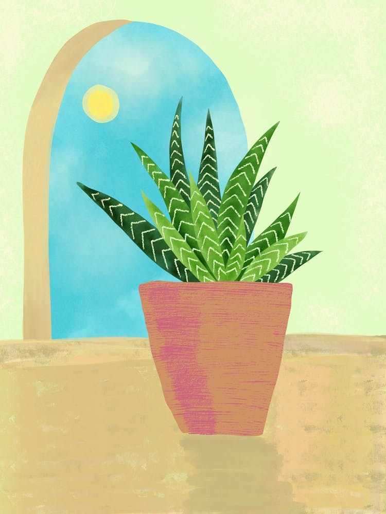 Potted Plant In The Sun