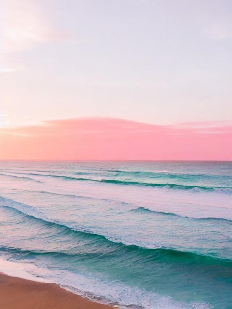 Dicky Beach, Australie Photographie Rose 2