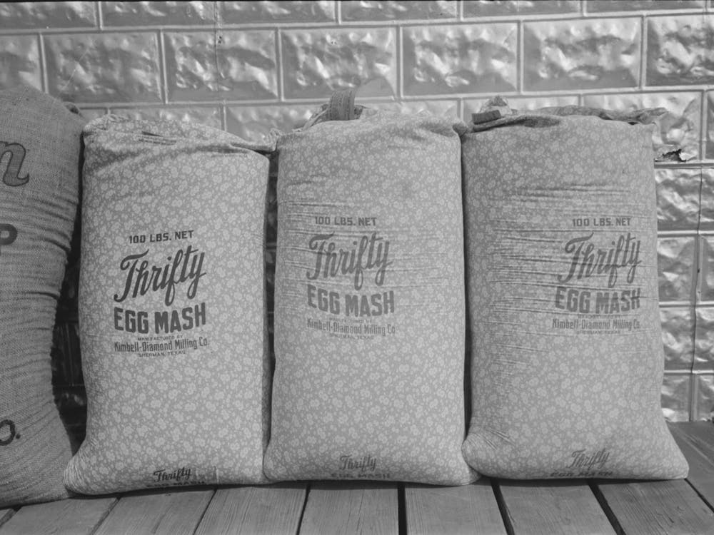 Chicken Feed, Flour And Other Bulky Products Are Now Bagged In Printed Cotton Materials For Use As Dress