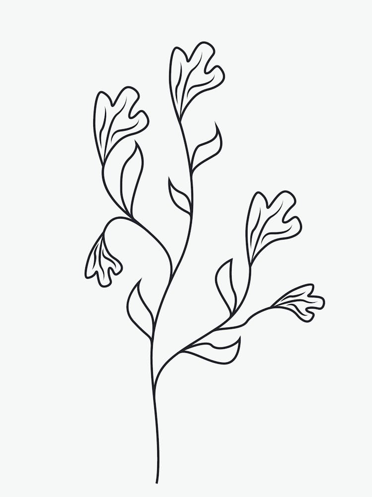 Line Drawing Of A Flower