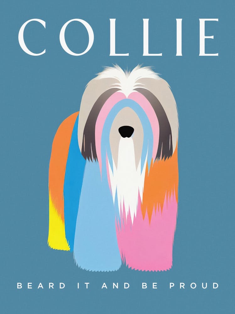 Bearded Collie Retro Bold Artistry
