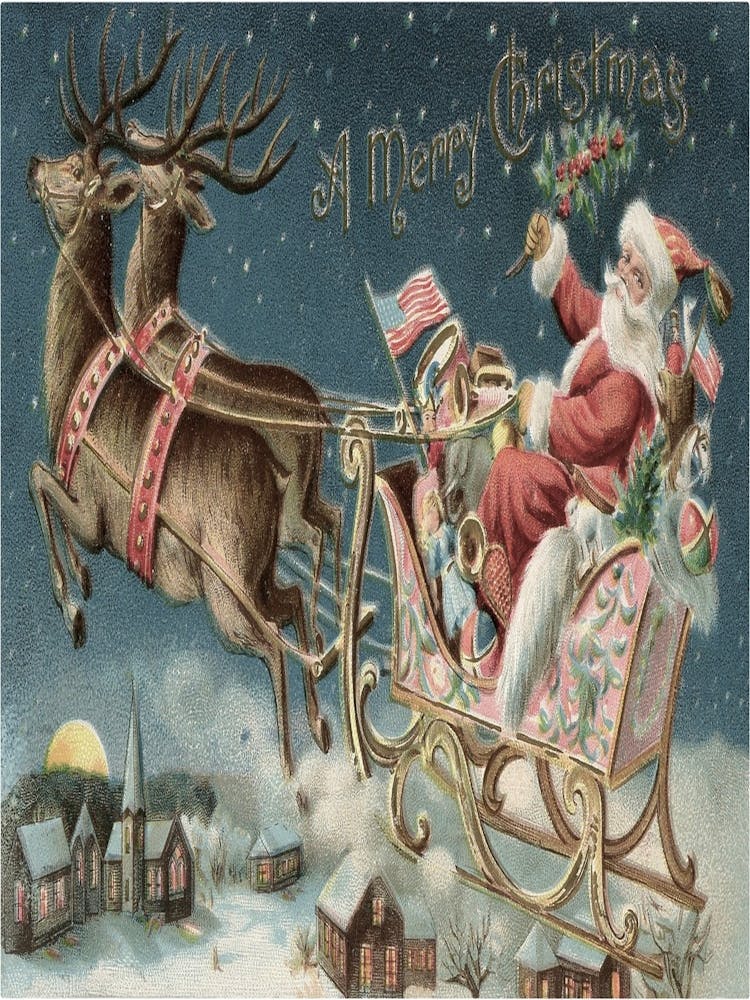 Santa Claus In Sleigh