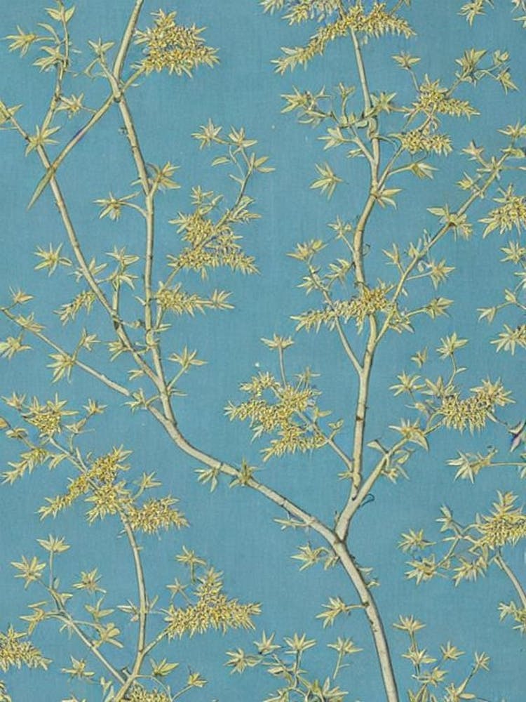 Japanese Cypress 2 tree Vintage Botanical