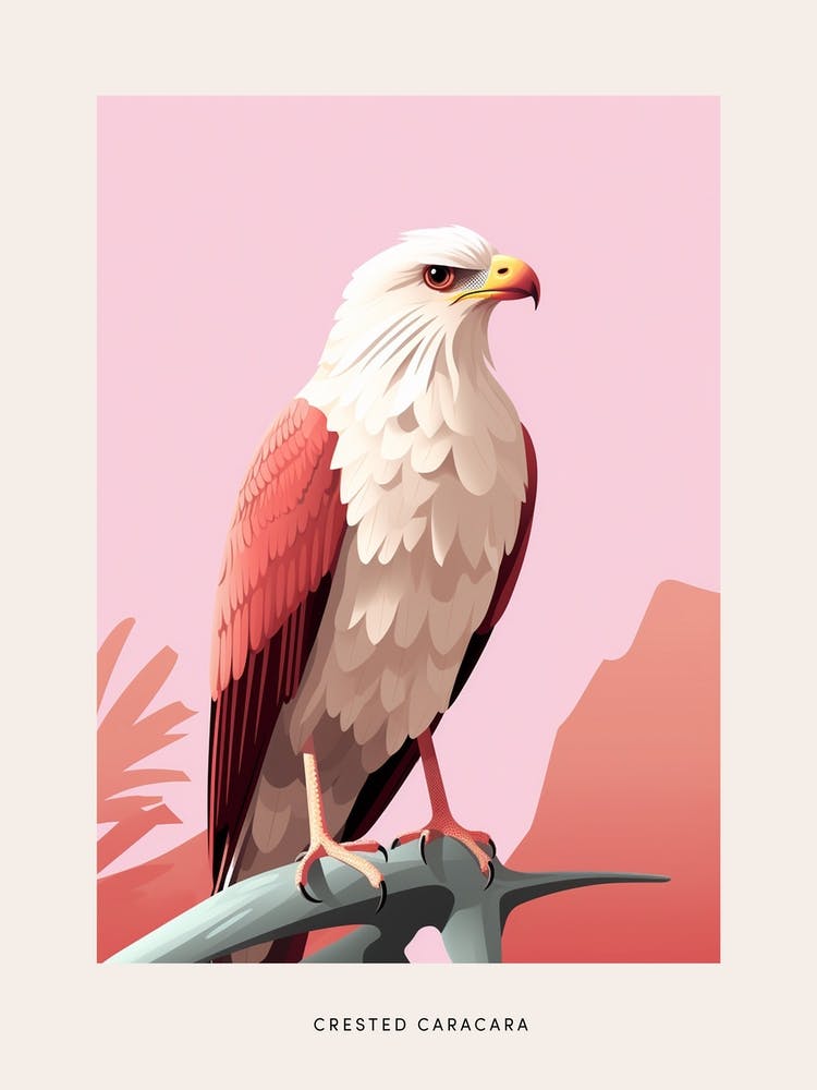 Minimalist Crested Caracara 3 Bird Poster