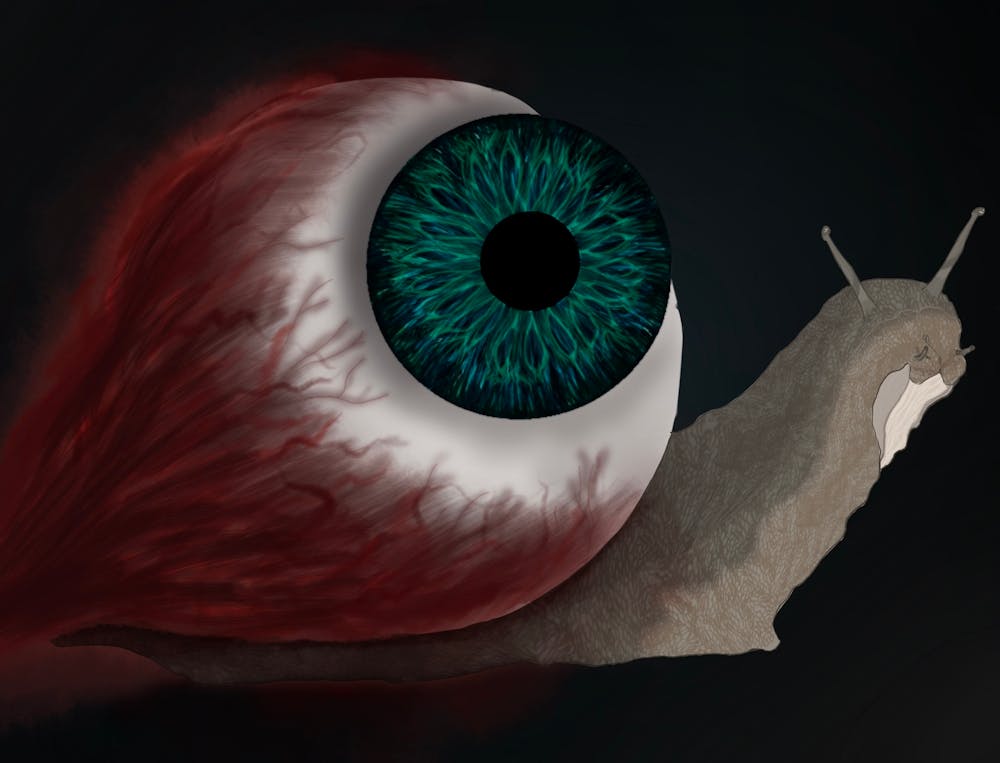 Snail’s shell