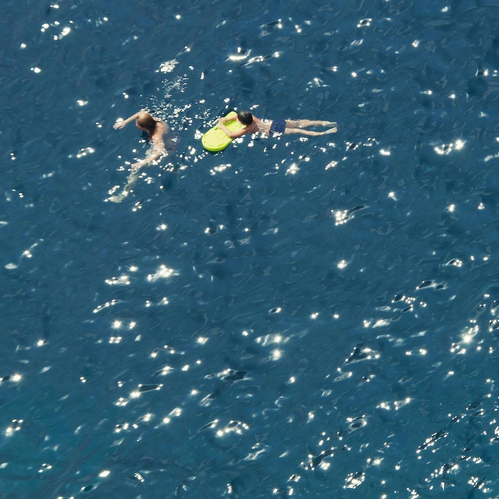 The  Family| The Swimmers Series