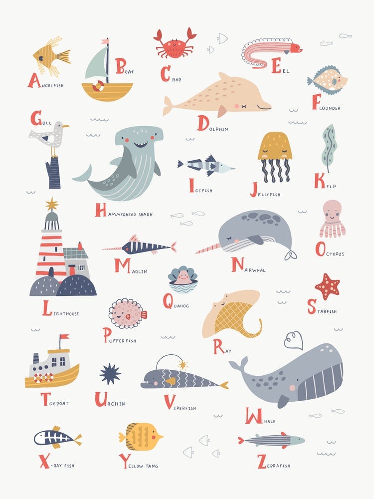 Ocean Sealife Alphabet White