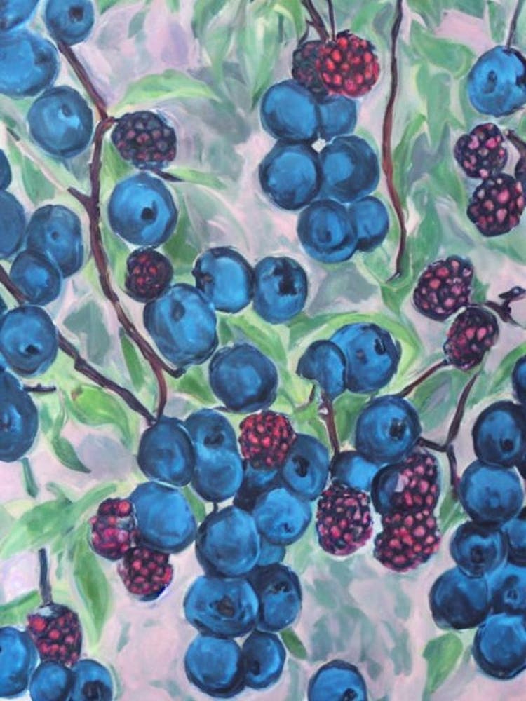 Black Raspberry Classic Fruit