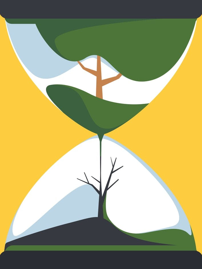 Hourglass With Tree Life Cycle