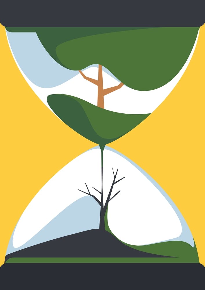Hourglass With Tree Life Cycle