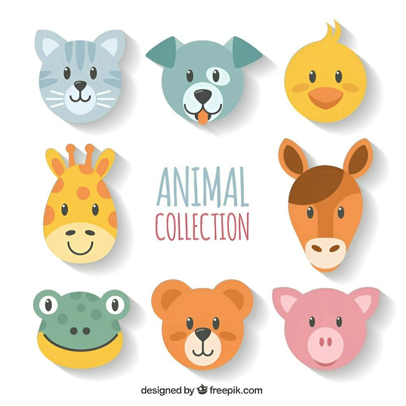 Animal Collection