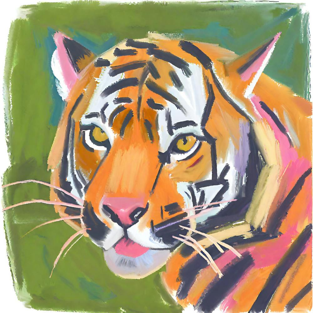 Sumatran Tiger 04