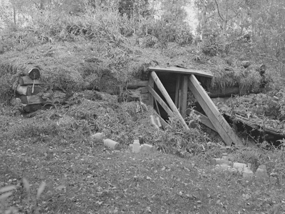 Old Root Cellar On Farm Near Northome, Minnesota By Russell Lee