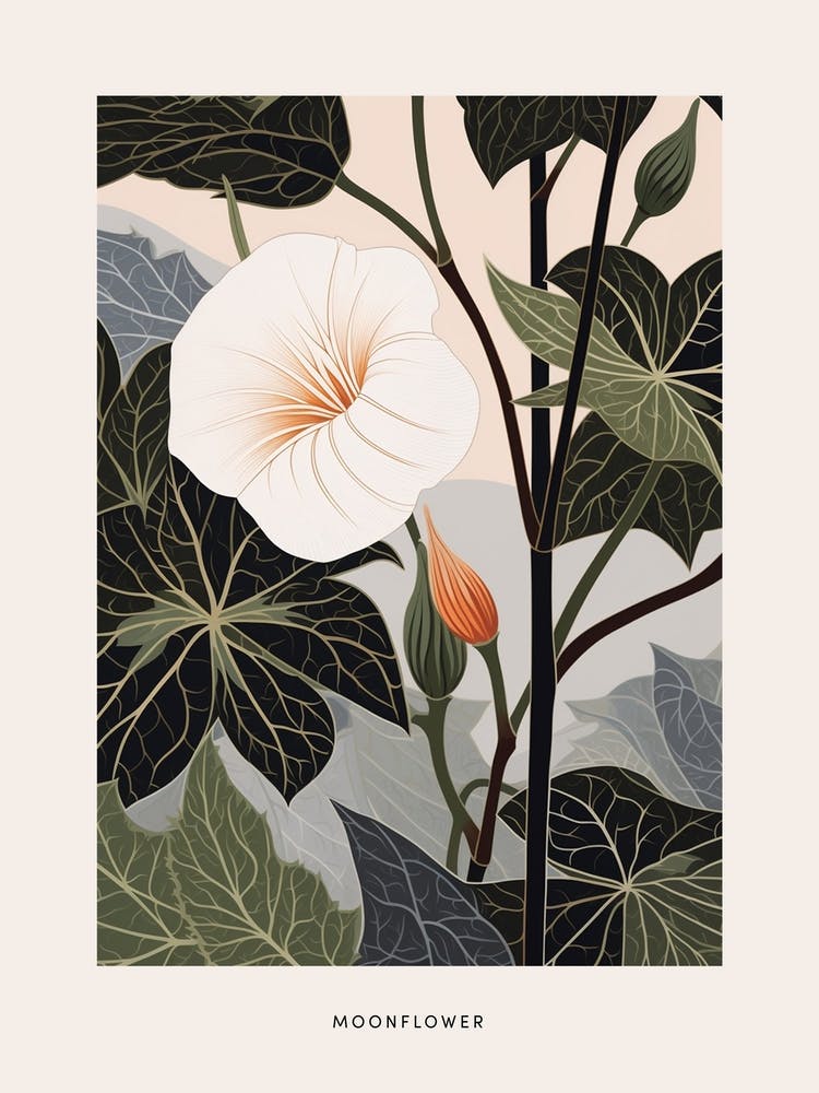 Illustration de fleur - Fleur de lune 3 - Affiche