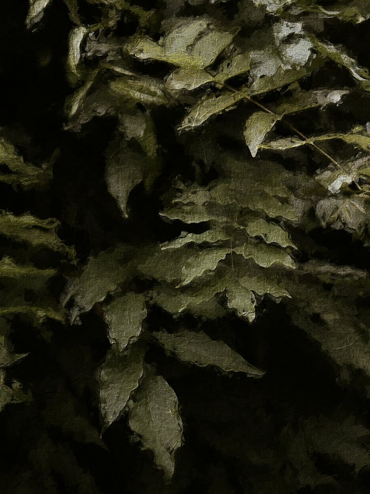 Ferns Oil Painting