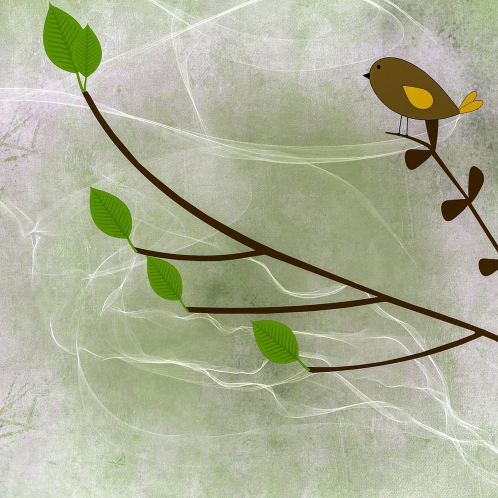 Bird Perched On Branch