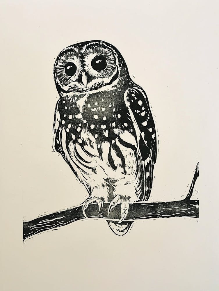 Spotted Owl Linocut Blockprint 1
