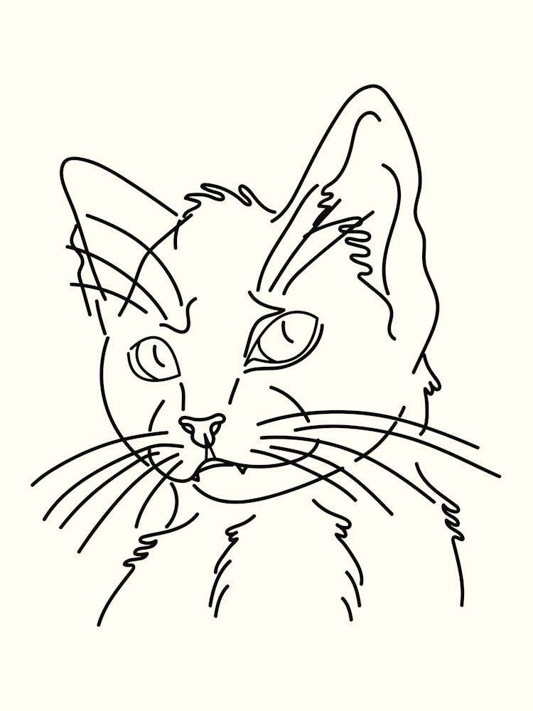 Continuous Line Drawing Of A Cat Monoline Hand Drawing Aesthetic Illustration