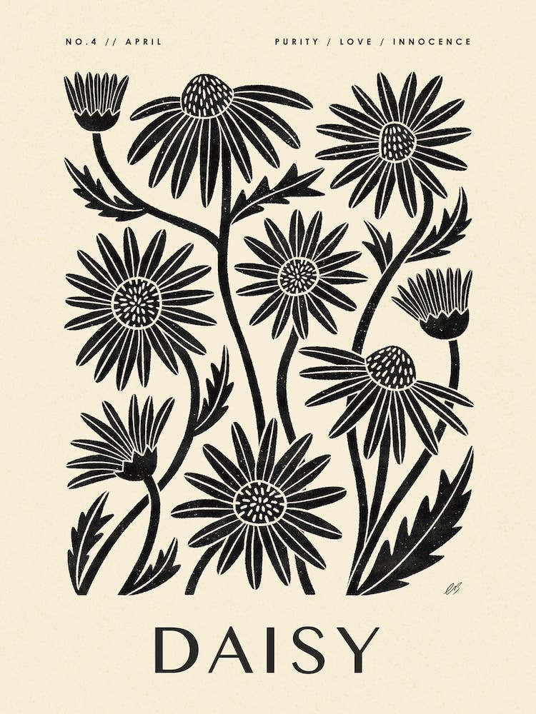 Rustic April Birth Flower Daisy Black Cream