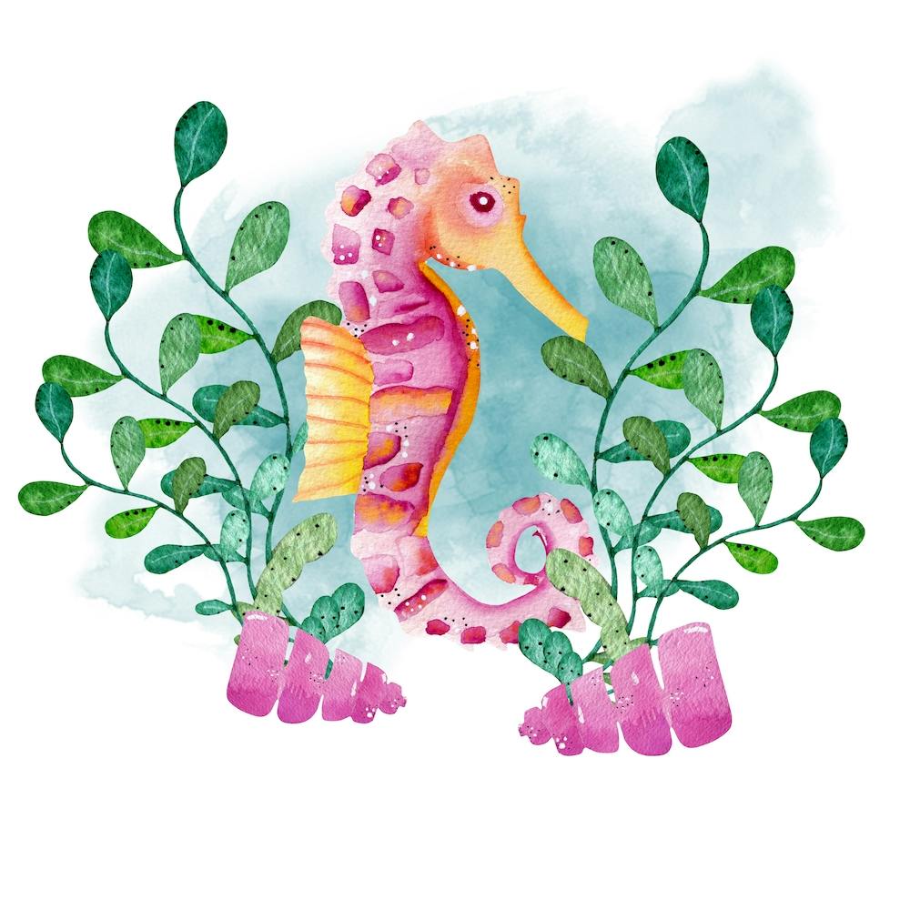 Watercolor Pink Seahorse Square