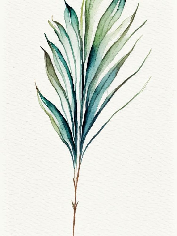 Yucca Leaf Minimalist Watercolour 6