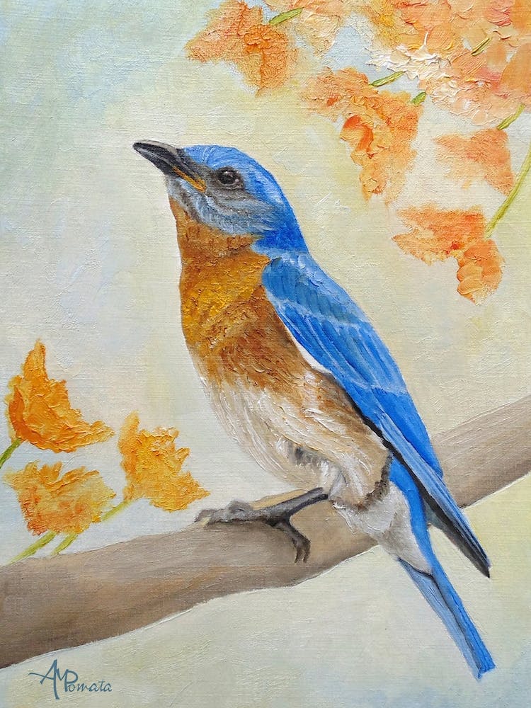 Eastern Bluebird Among Flowers