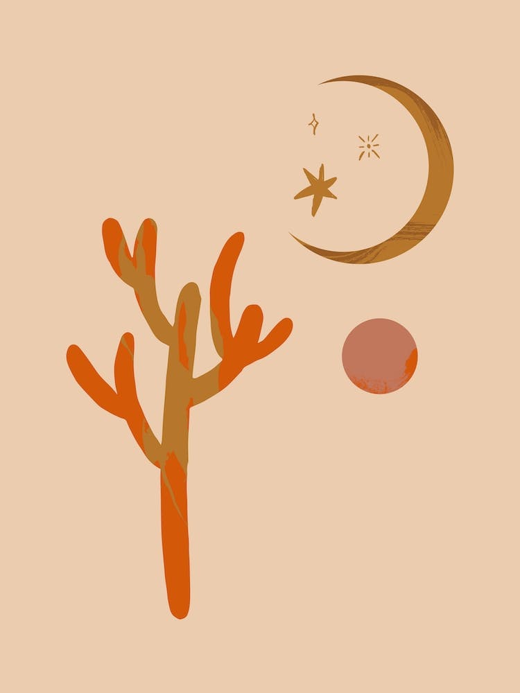 Desert Moon