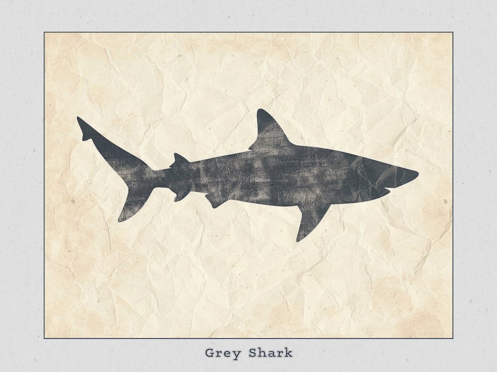 Grey Shark Silhouette 7 Poster