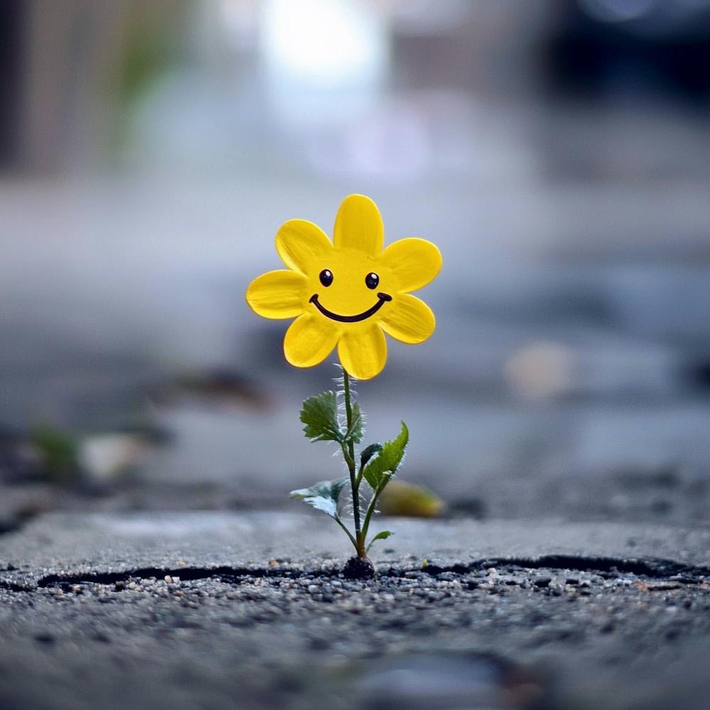 Smiley Flower