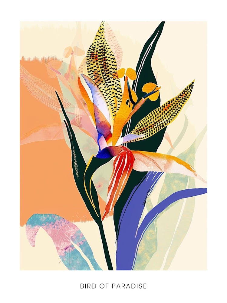 Colourful Flower Illustration Poster Bird Of Paradise 2