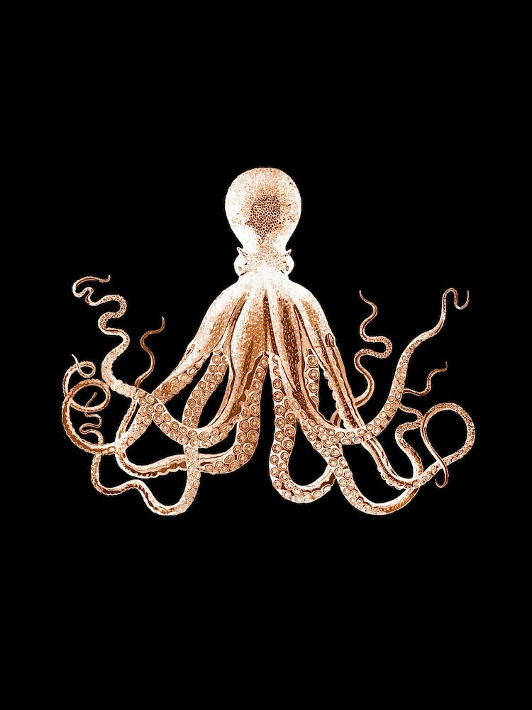 Black and Gold Octopus Illustration