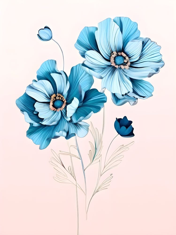 Blue Poppy Flowers