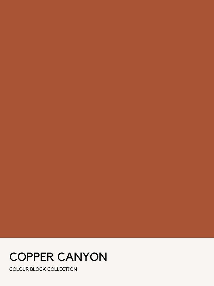 Copper Canyon Colour Block Poster