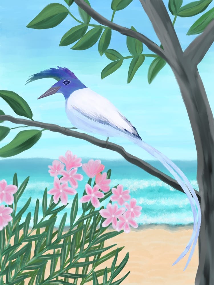 Magpie-Jay Bird on the Beach