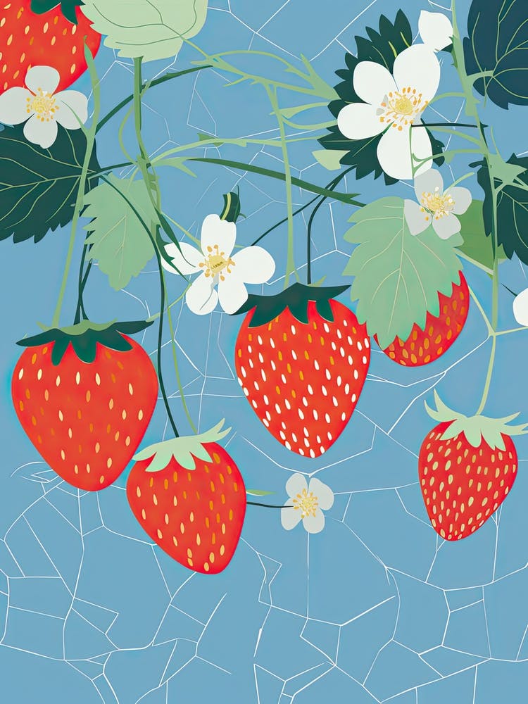 Strawberries Illustration 6