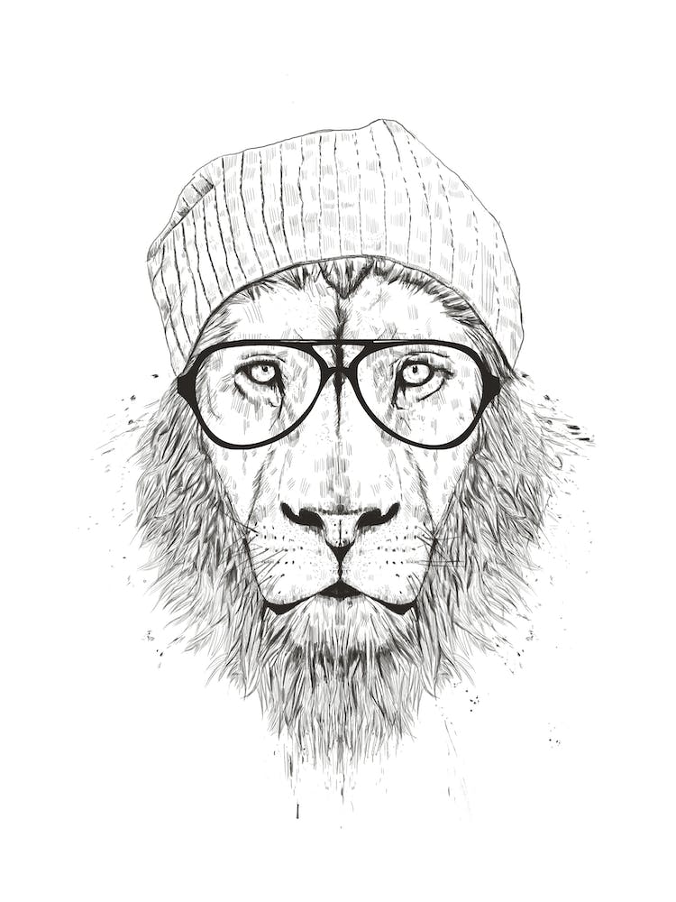 Cool Lion
