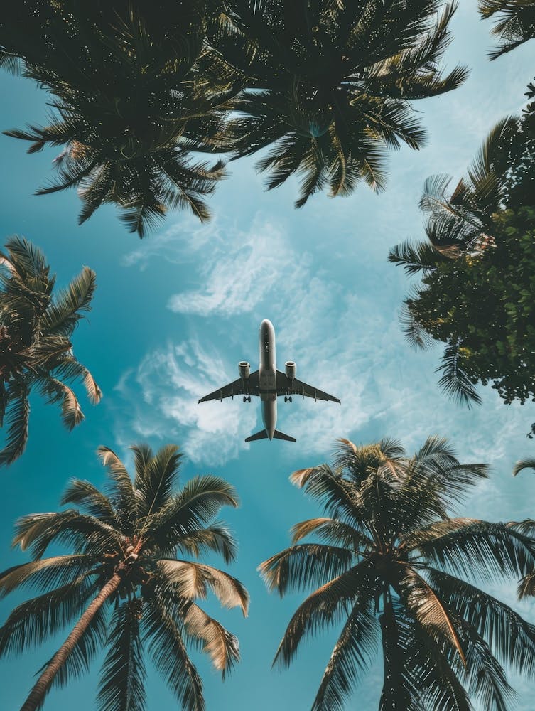 Airplane Flying Over Palm Trees 6