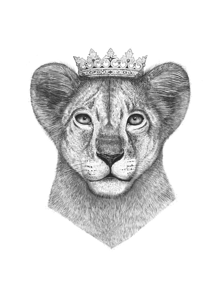 The Lion Prince