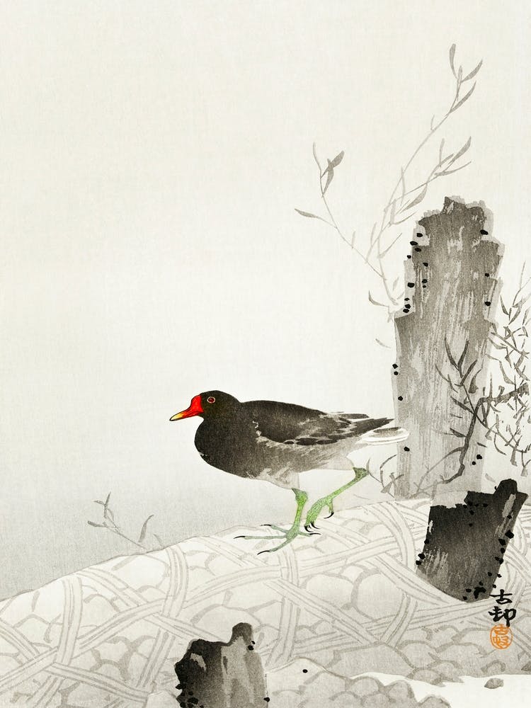 Moorhen (1900 1936), Ohara Koson