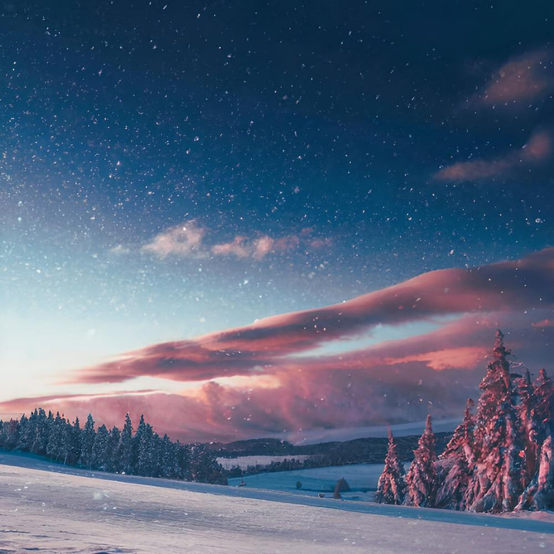 Snow Falling from Sky (Winter 2023)