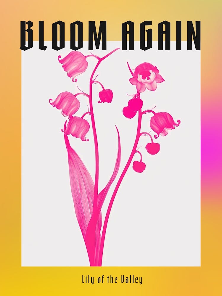 Hot Pink Lily Of The Valley Poster