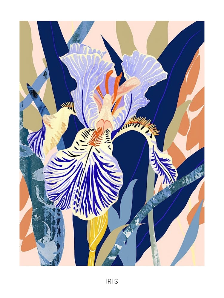 Colourful Flower Illustration Poster Iris 3