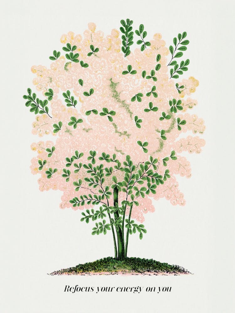 Refocus Your Energy on You. Quote and Vintage Tree