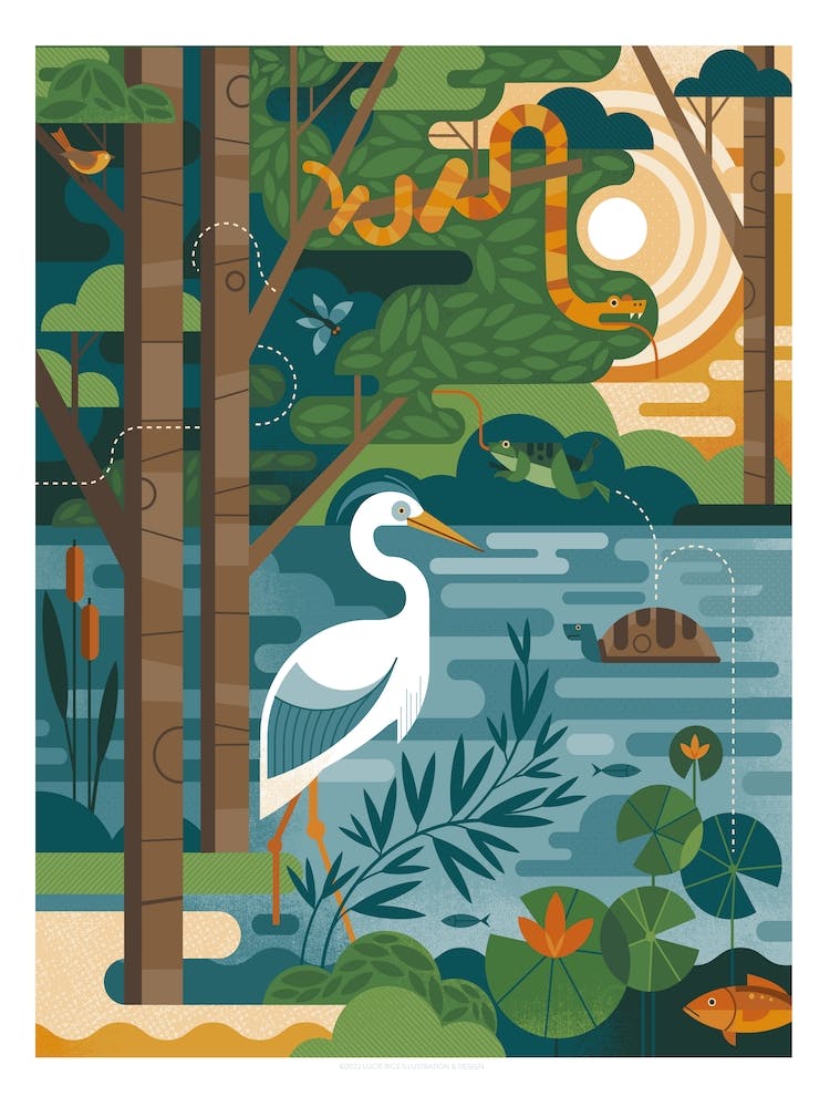 Creatures Great and Small