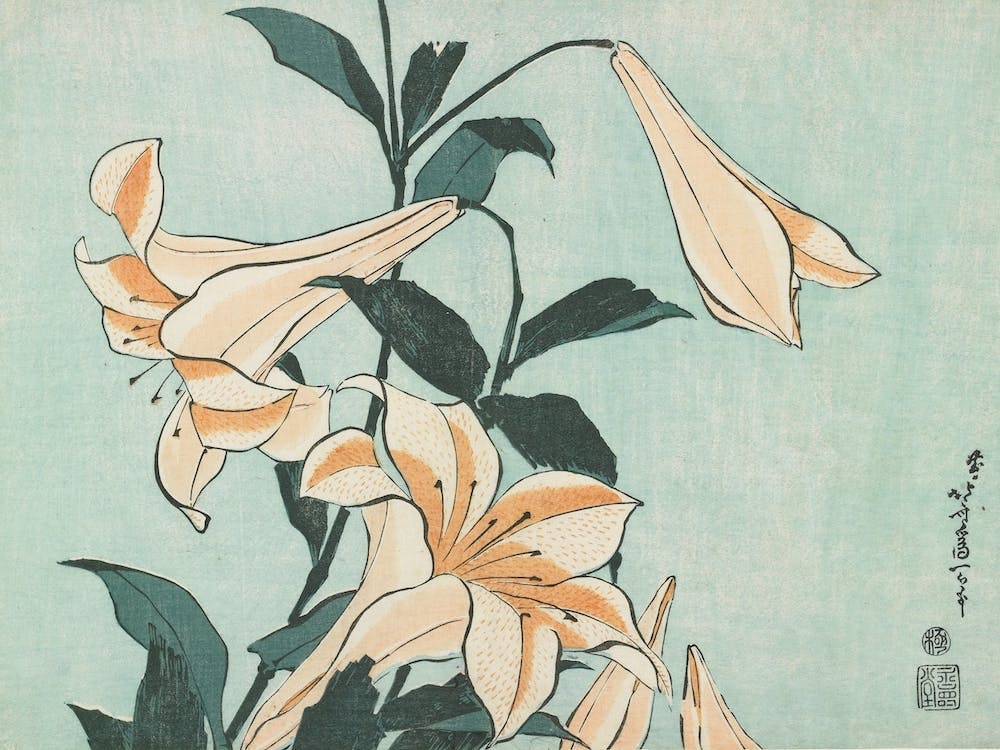Lys, Katsushika Hokusai