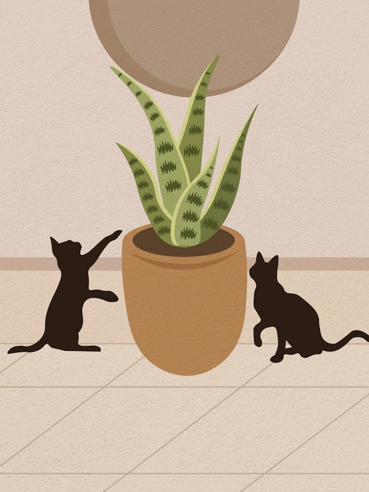 Vintage Minimal Art Two Cats Playing With A Plant