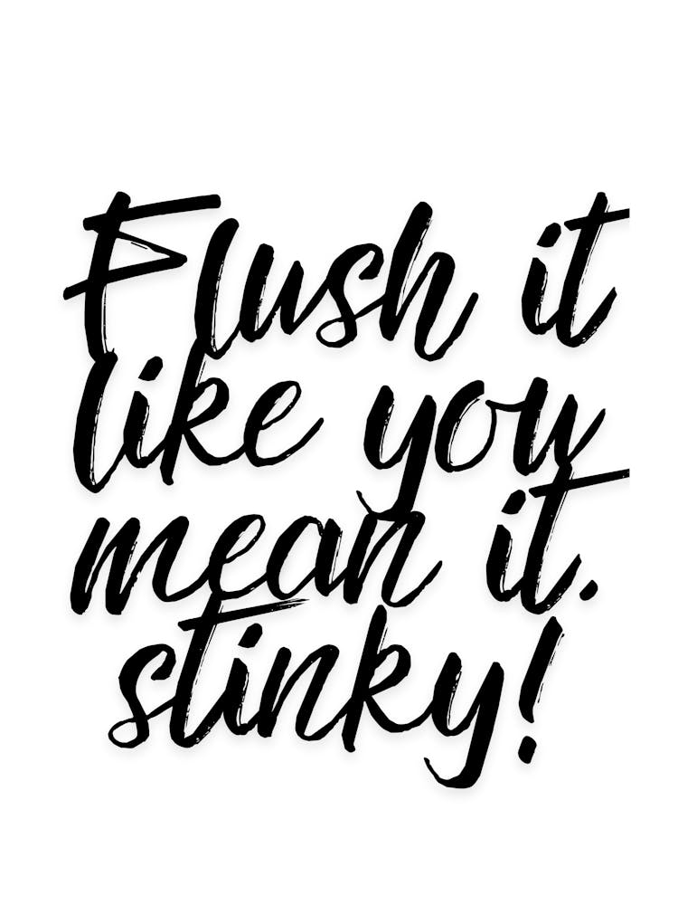 Flush It Like You Mean It Stinky