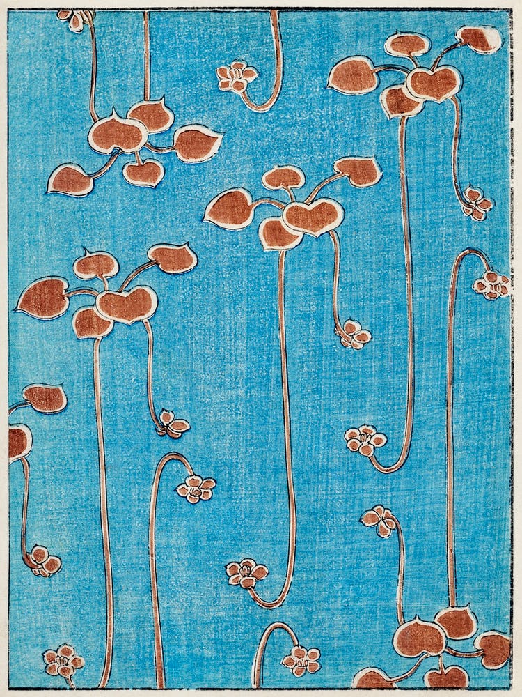 Vine Illustration, Shin Bijutsukai