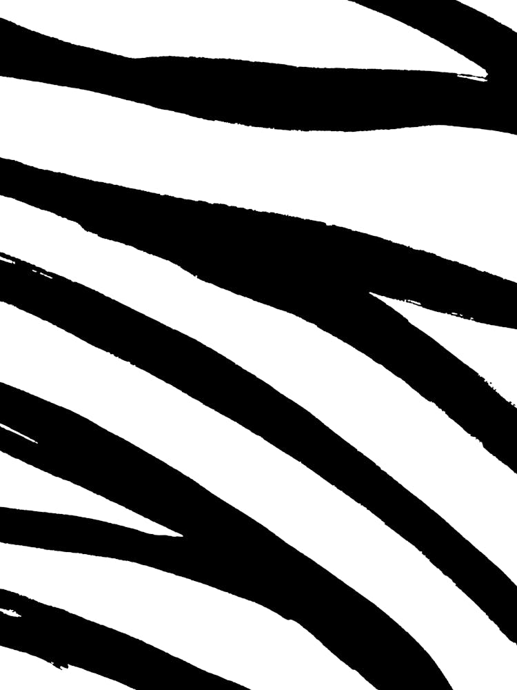 Zebra Stripes 2