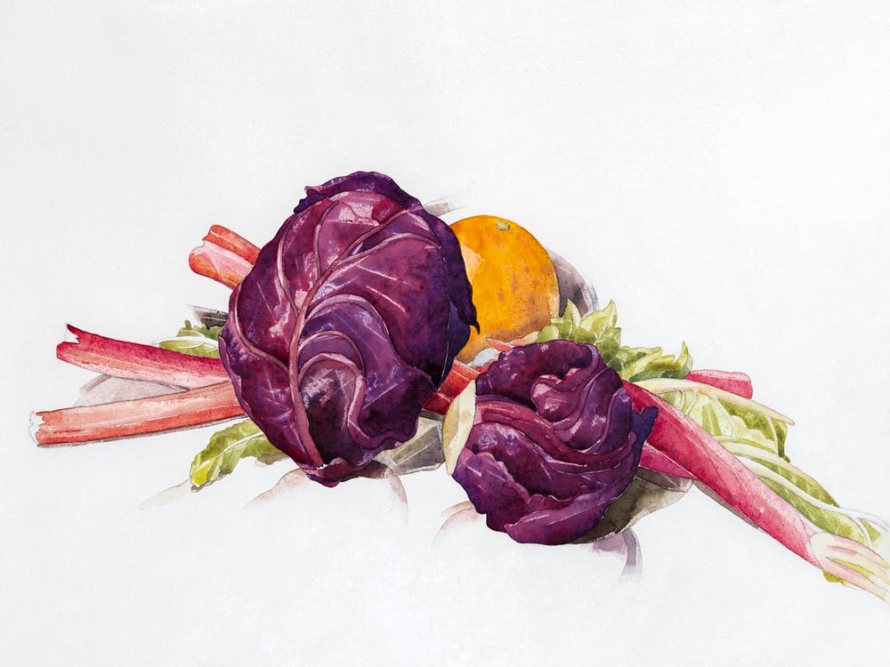 Red Cabbages, Rhubarb And Orange (1929), Charles Demuth